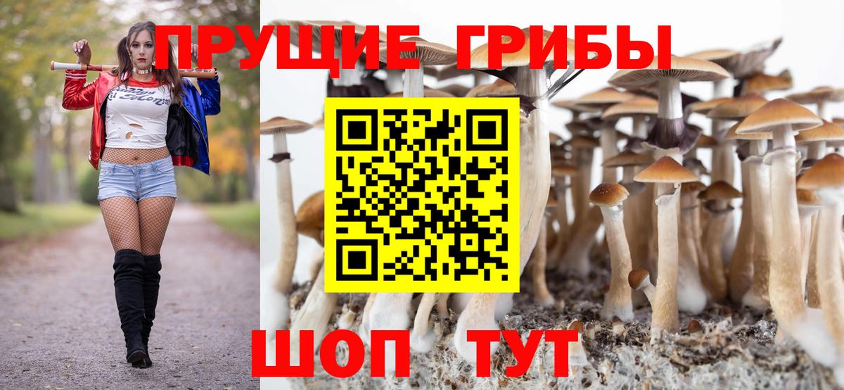 Галлюциногенные грибы Psilocybine cubensis  Вход с VPN  Кировск  Галлюциногенные грибы прущие грибы 