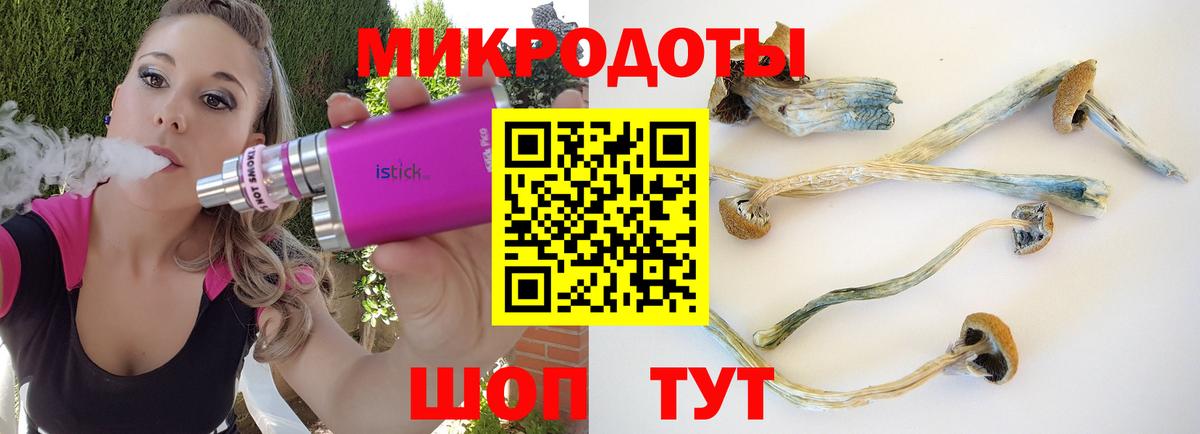 Галлюциногенные грибы Psilocybe Кировск